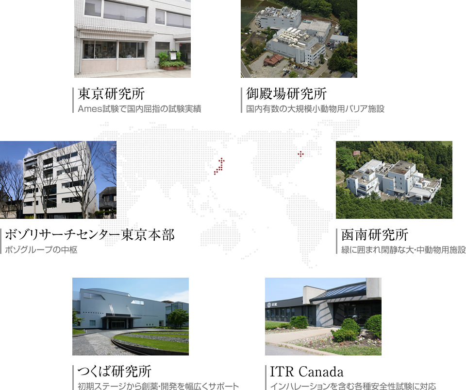 東京研究所 Ames試験で国内屈指の試験実績 御殿場研究所 国内有数の大規模小動物用バリア施設 ボゾリサーチセンター東京本部 ボゾグループの中枢 函南研究所 緑に囲まれ閑静な大・中動物用施設 つくば研究所 初期ステージから創薬・開発を幅広くサポート ITR Canada インハレーションを含む各種安全性試験に対応