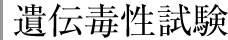 遺伝毒性試験