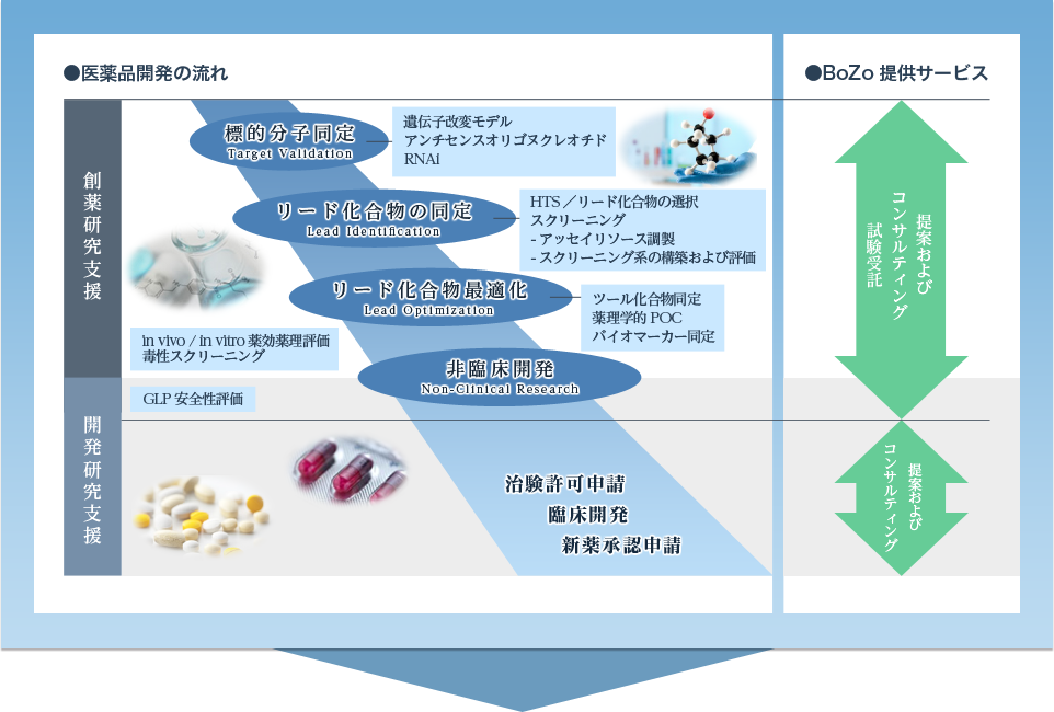 ヨーグルトと糖尿病