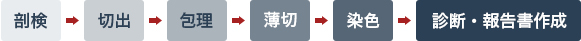 病理組織学検査の流れ