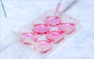 バイオ医薬品等創薬支援技術