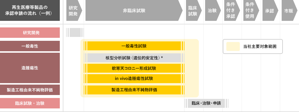 再生医療等製品開発フローの一例