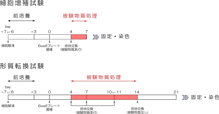 標準スケジュール