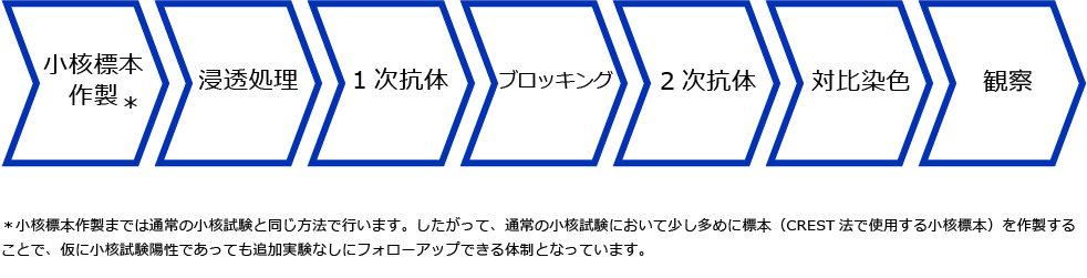 試験の流れ