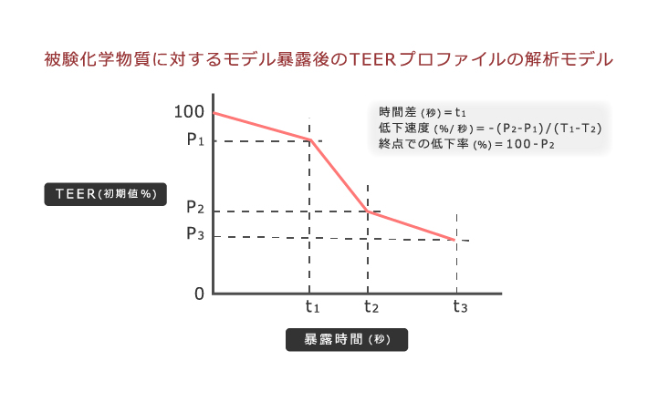 被験化学物質に対するモデル曝露後のTEERプロファイルの解析モデル