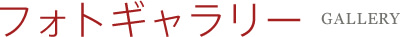 フォトギャラリー